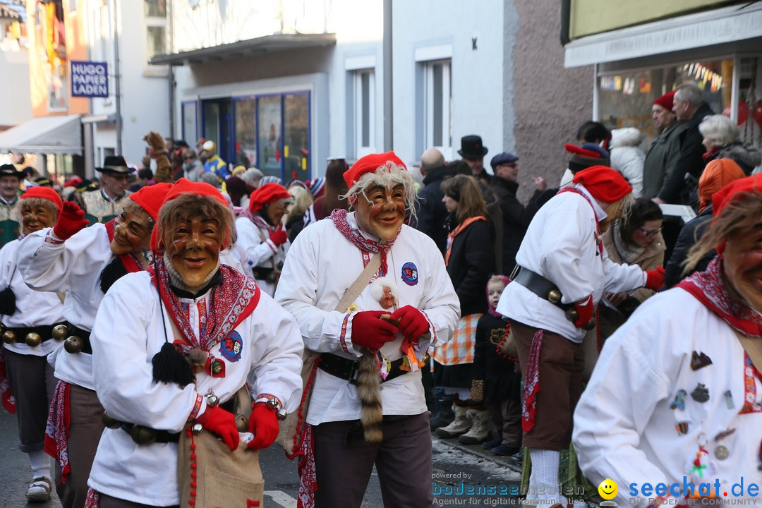 Landschaftstreffen der Fasnachtslandschaft: Markdorf am Bodensee, 29.01.201