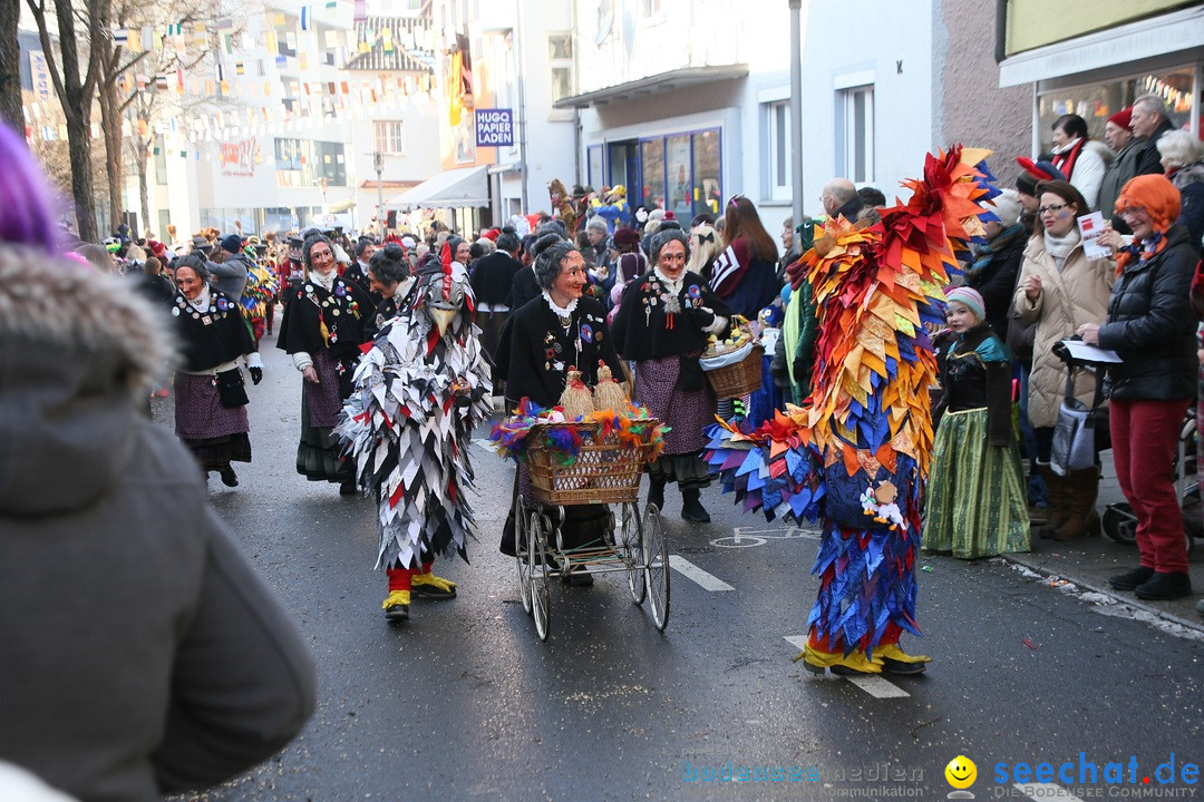 Landschaftstreffen der Fasnachtslandschaft: Markdorf am Bodensee, 29.01.201