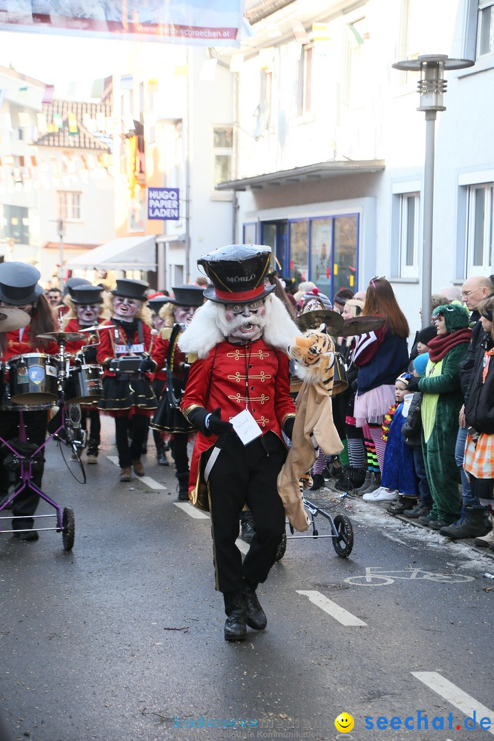 Landschaftstreffen der Fasnachtslandschaft: Markdorf am Bodensee, 29.01.201