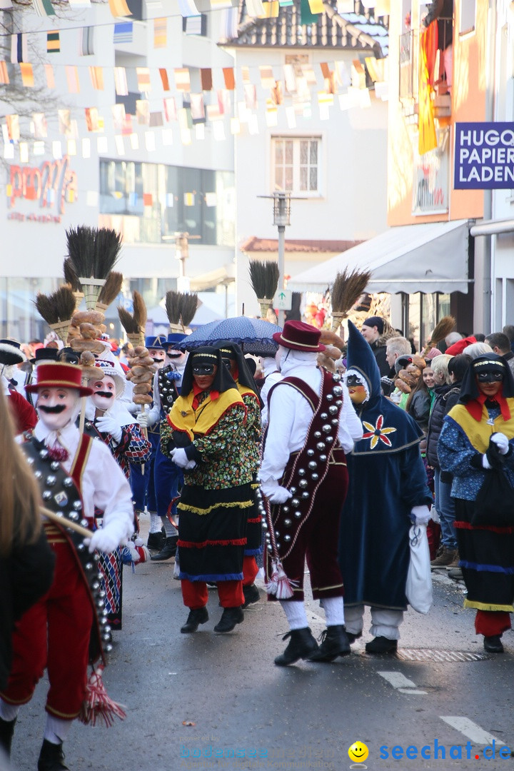 Landschaftstreffen der Fasnachtslandschaft: Markdorf am Bodensee, 29.01.201
