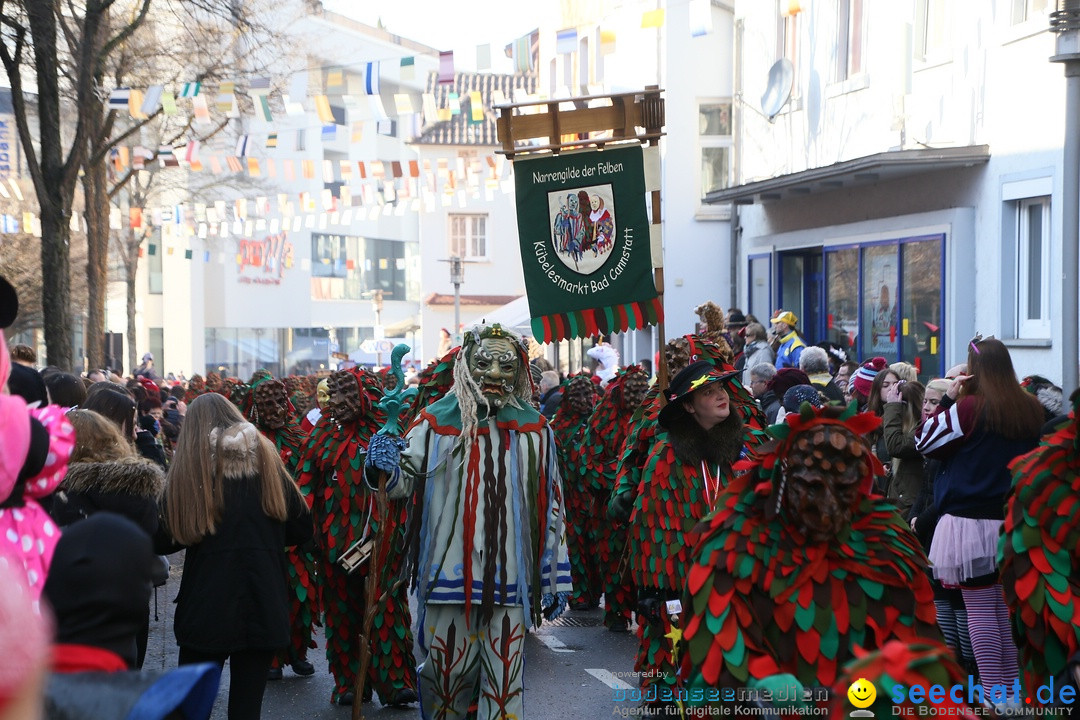 Landschaftstreffen der Fasnachtslandschaft: Markdorf am Bodensee, 29.01.201