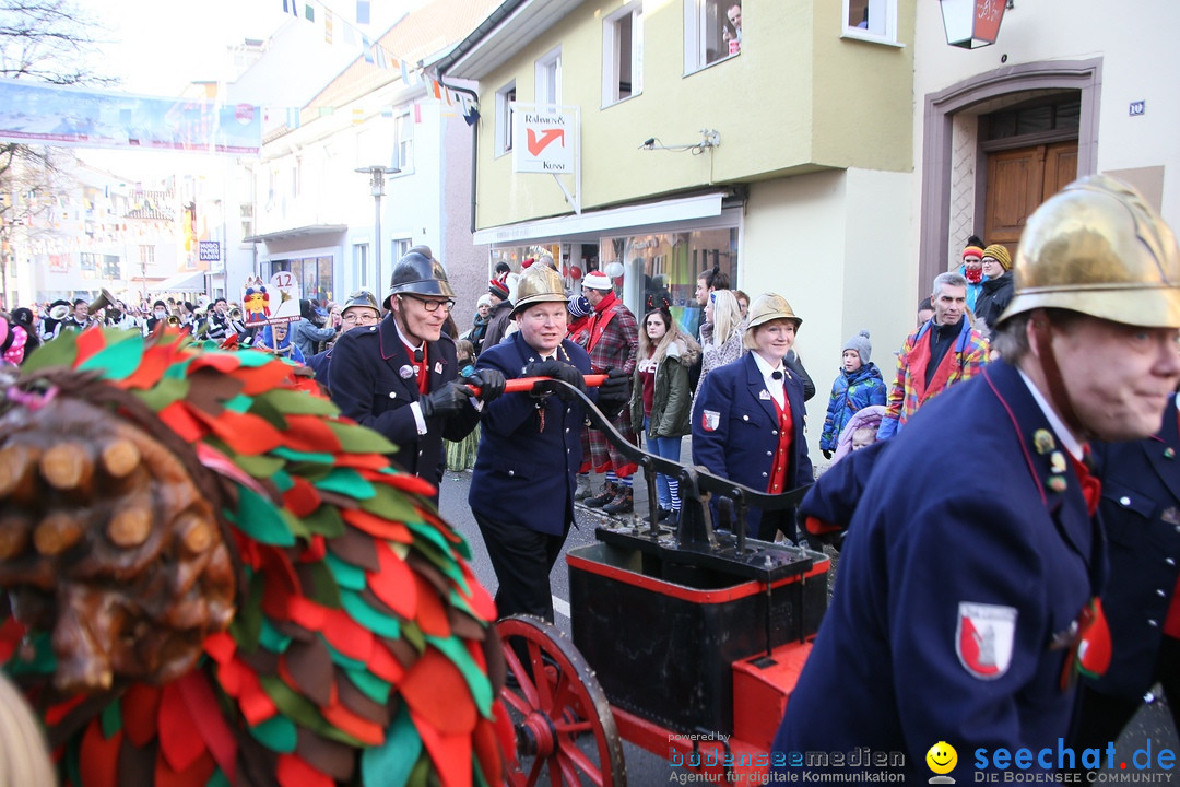 Landschaftstreffen der Fasnachtslandschaft: Markdorf am Bodensee, 29.01.201