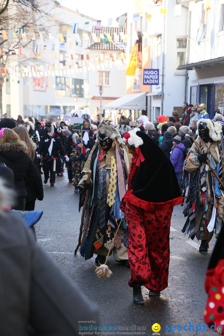 Landschaftstreffen der Fasnachtslandschaft: Markdorf am Bodensee, 29.01.201