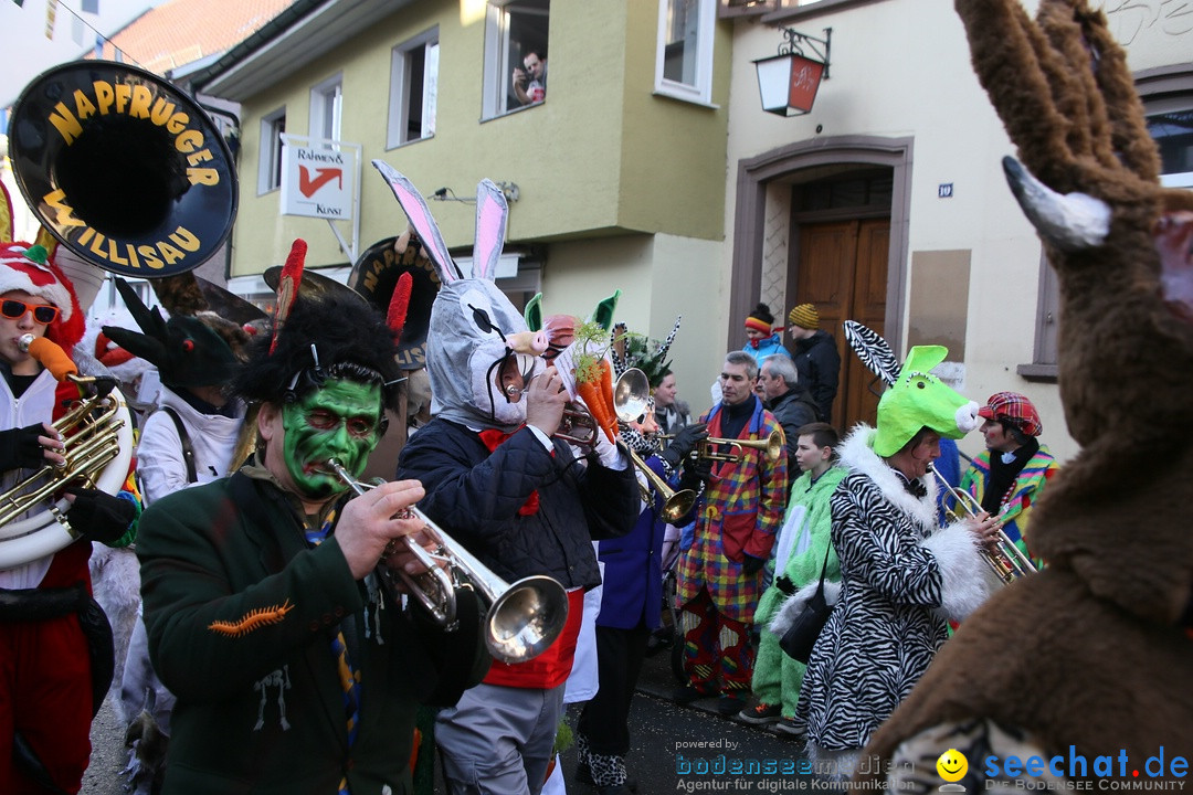 Landschaftstreffen der Fasnachtslandschaft: Markdorf am Bodensee, 29.01.201