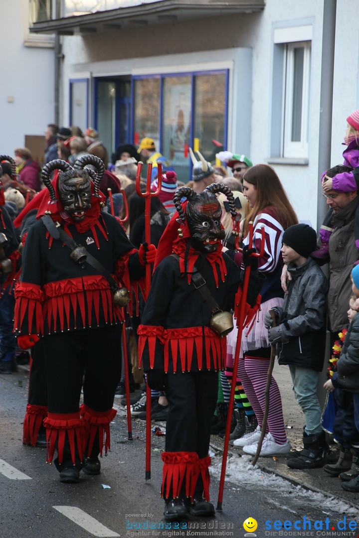 Landschaftstreffen der Fasnachtslandschaft: Markdorf am Bodensee, 29.01.201