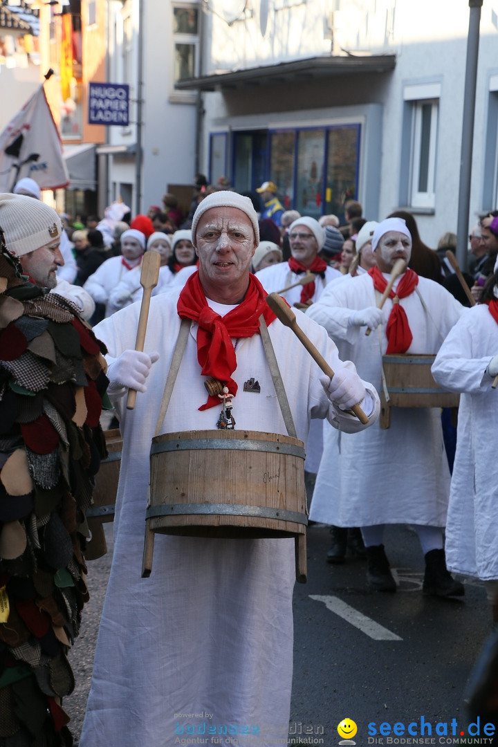 Landschaftstreffen der Fasnachtslandschaft: Markdorf am Bodensee, 29.01.201