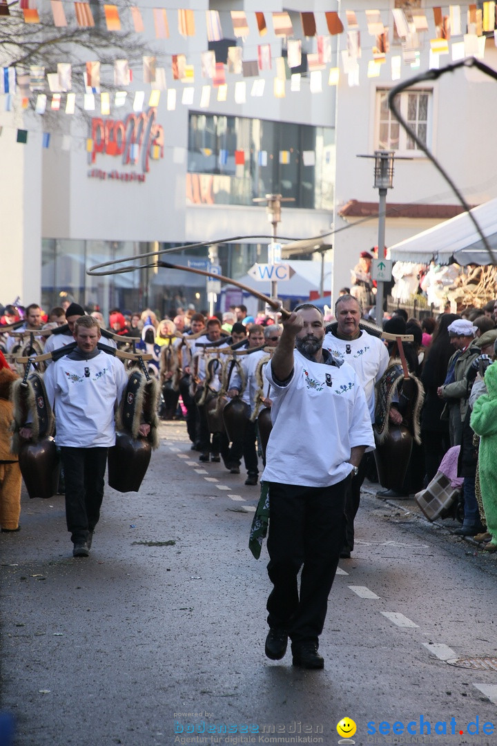 Landschaftstreffen der Fasnachtslandschaft: Markdorf am Bodensee, 29.01.201