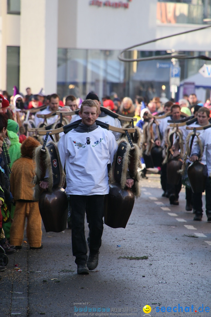 Landschaftstreffen der Fasnachtslandschaft: Markdorf am Bodensee, 29.01.201