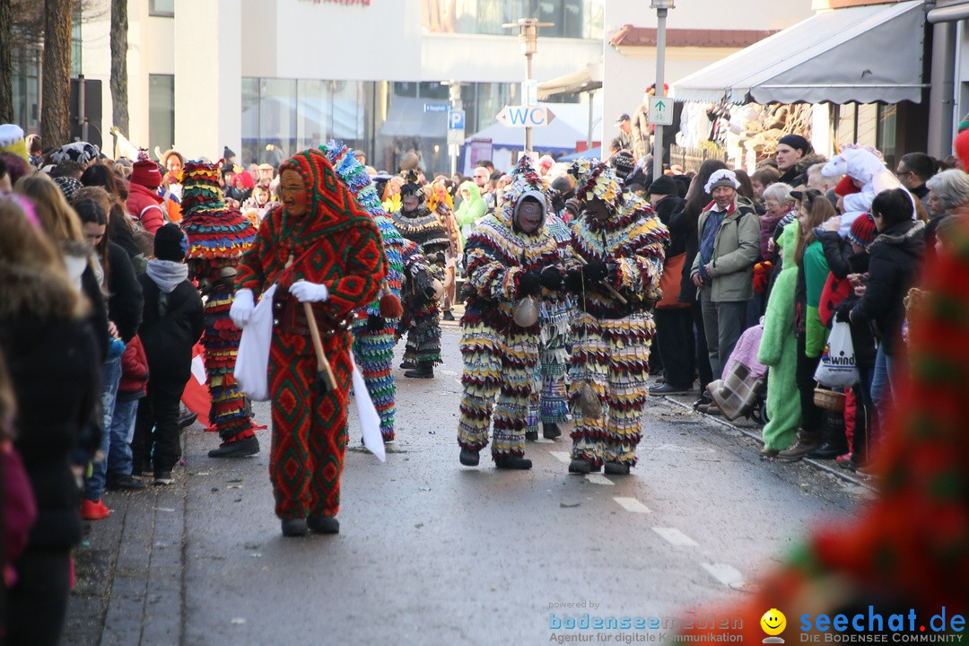 Landschaftstreffen der Fasnachtslandschaft: Markdorf am Bodensee, 29.01.201