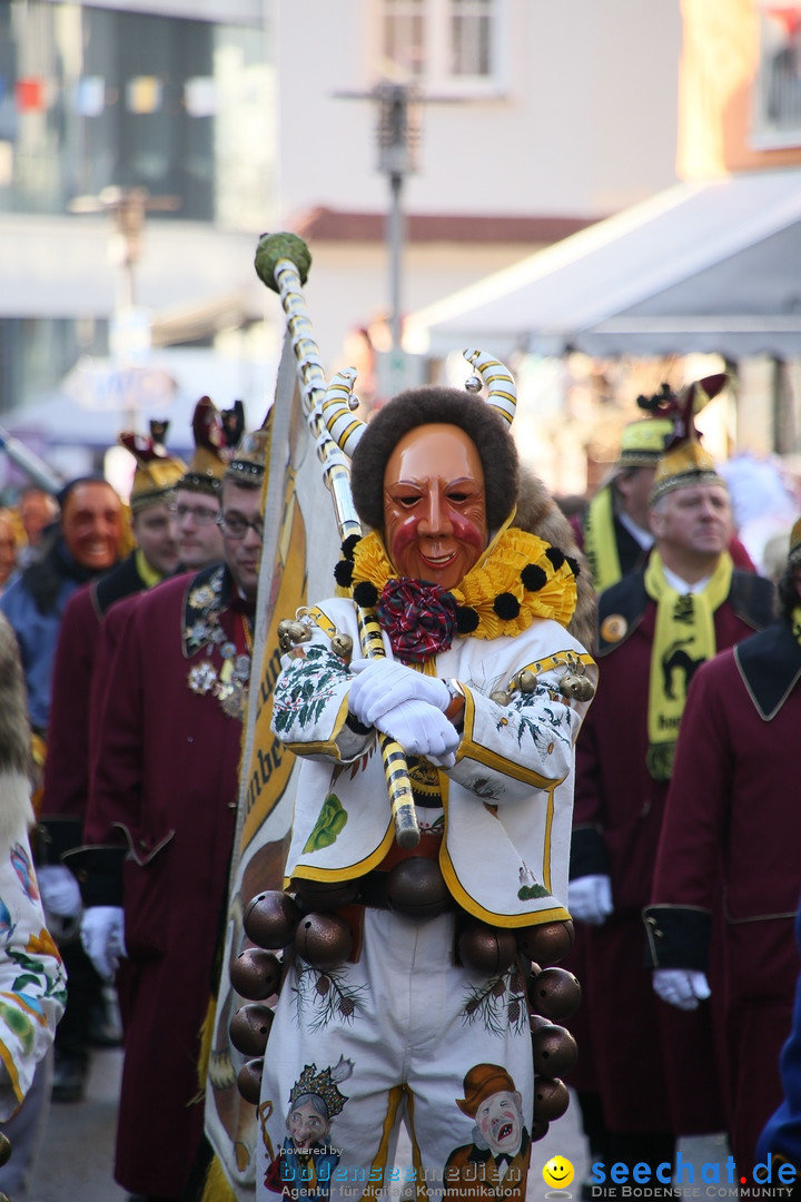 Landschaftstreffen der Fasnachtslandschaft: Markdorf am Bodensee, 29.01.201