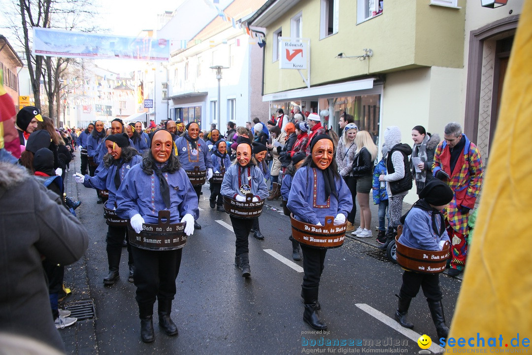 Landschaftstreffen der Fasnachtslandschaft: Markdorf am Bodensee, 29.01.201