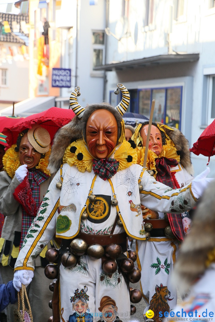 Landschaftstreffen der Fasnachtslandschaft: Markdorf am Bodensee, 29.01.201