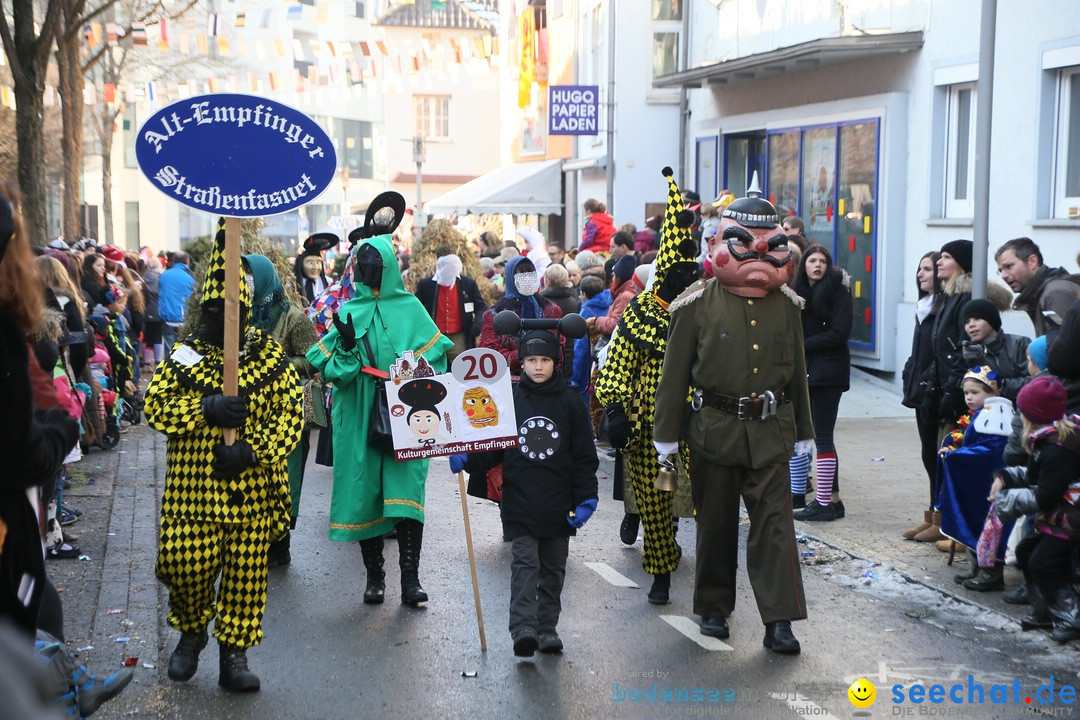 Landschaftstreffen der Fasnachtslandschaft: Markdorf am Bodensee, 29.01.201