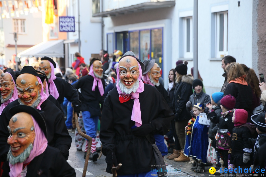Landschaftstreffen der Fasnachtslandschaft: Markdorf am Bodensee, 29.01.201
