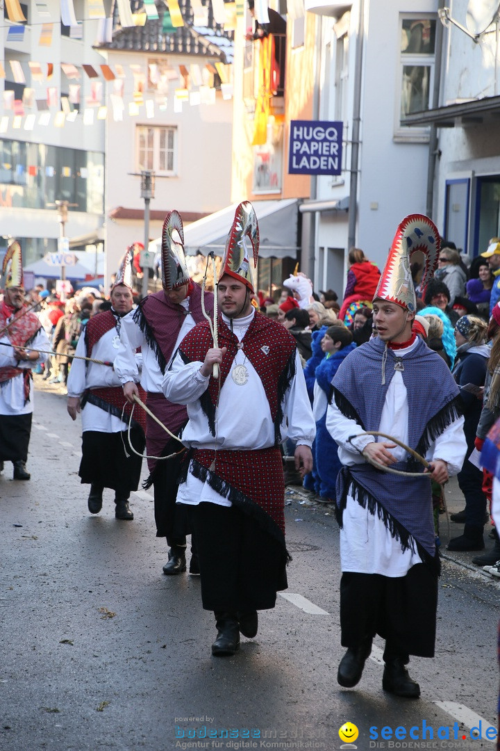 Landschaftstreffen der Fasnachtslandschaft: Markdorf am Bodensee, 29.01.201