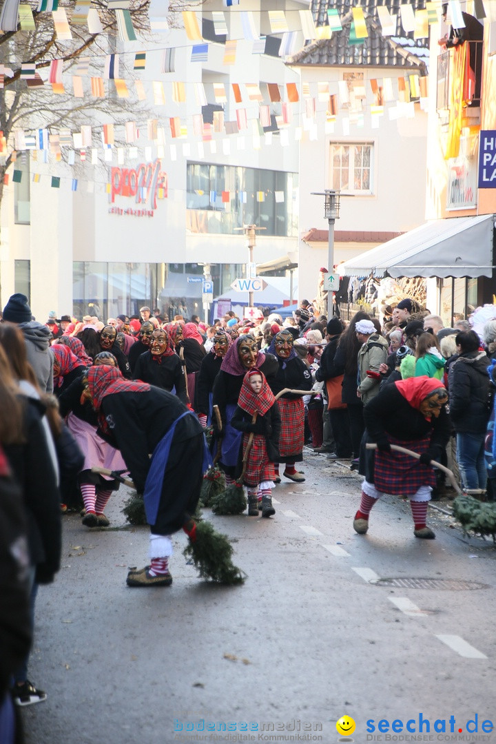 Landschaftstreffen der Fasnachtslandschaft: Markdorf am Bodensee, 29.01.201