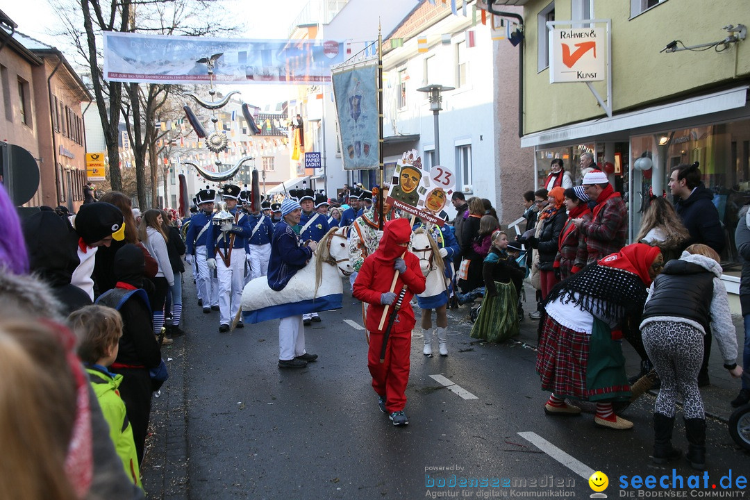 Landschaftstreffen der Fasnachtslandschaft: Markdorf am Bodensee, 29.01.201