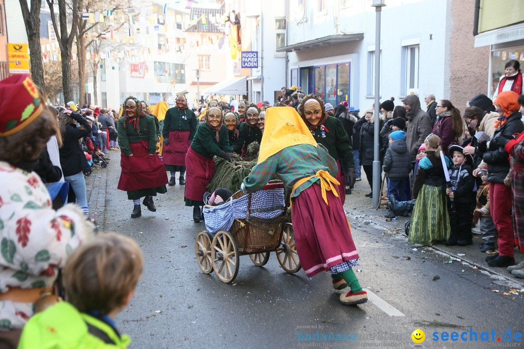 Landschaftstreffen der Fasnachtslandschaft: Markdorf am Bodensee, 29.01.201