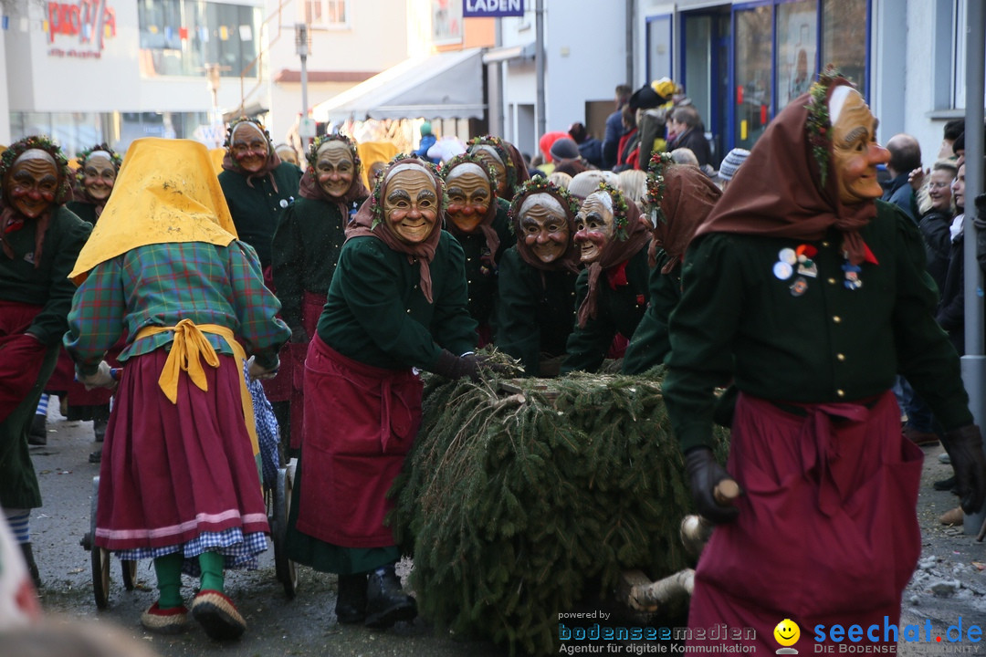 Landschaftstreffen der Fasnachtslandschaft: Markdorf am Bodensee, 29.01.201