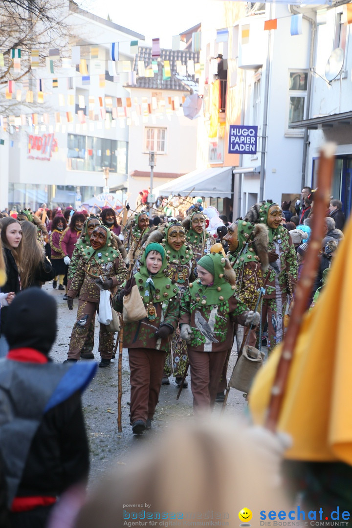 Landschaftstreffen der Fasnachtslandschaft: Markdorf am Bodensee, 29.01.201