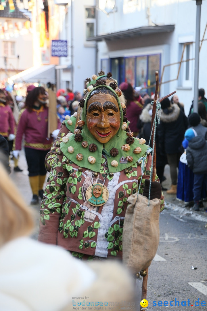 Landschaftstreffen der Fasnachtslandschaft: Markdorf am Bodensee, 29.01.201