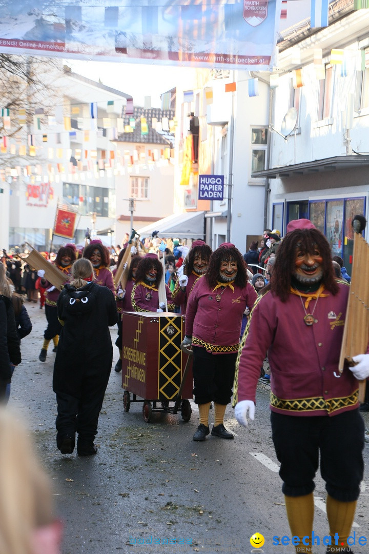 Landschaftstreffen der Fasnachtslandschaft: Markdorf am Bodensee, 29.01.201