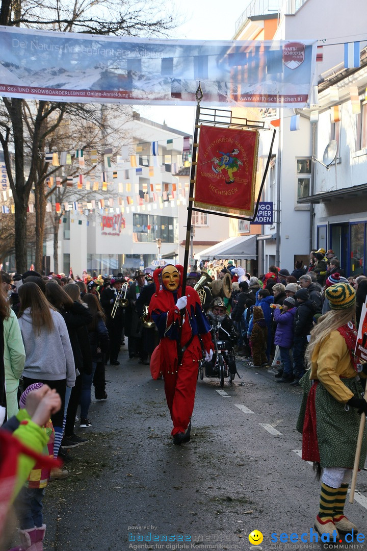 Landschaftstreffen der Fasnachtslandschaft: Markdorf am Bodensee, 29.01.201