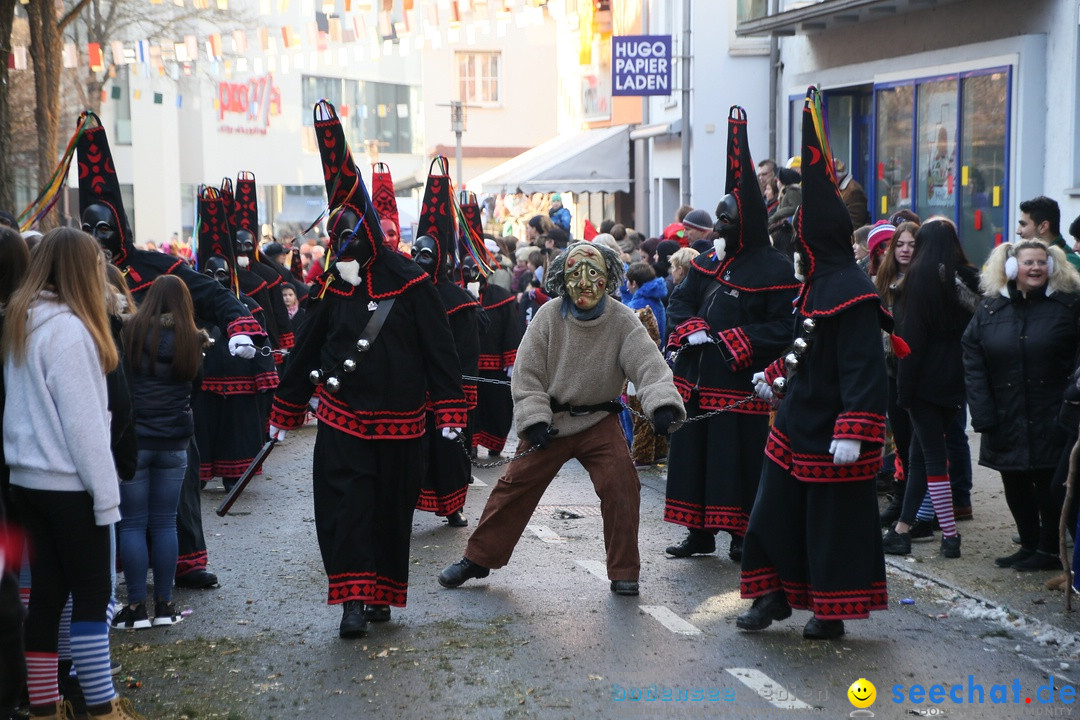 Landschaftstreffen der Fasnachtslandschaft: Markdorf am Bodensee, 29.01.201