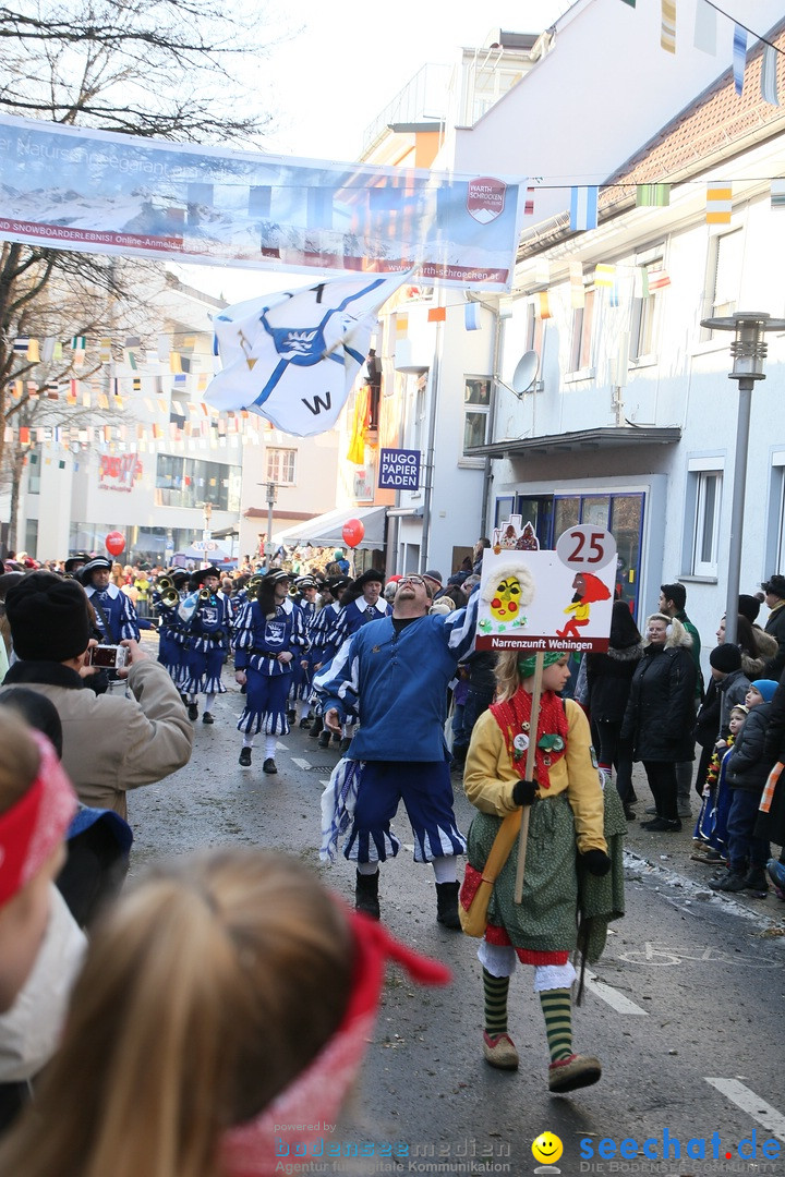 Landschaftstreffen der Fasnachtslandschaft: Markdorf am Bodensee, 29.01.201