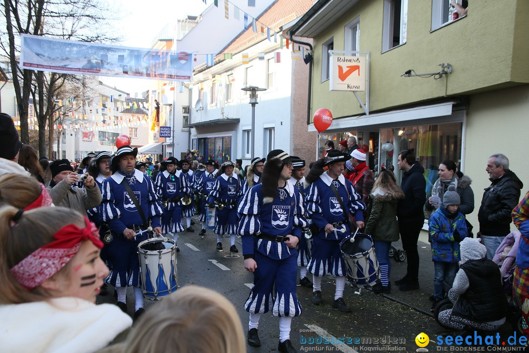 Landschaftstreffen der Fasnachtslandschaft: Markdorf am Bodensee, 29.01.201