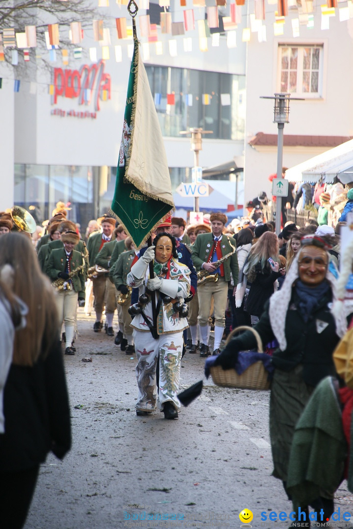 Landschaftstreffen der Fasnachtslandschaft: Markdorf am Bodensee, 29.01.201