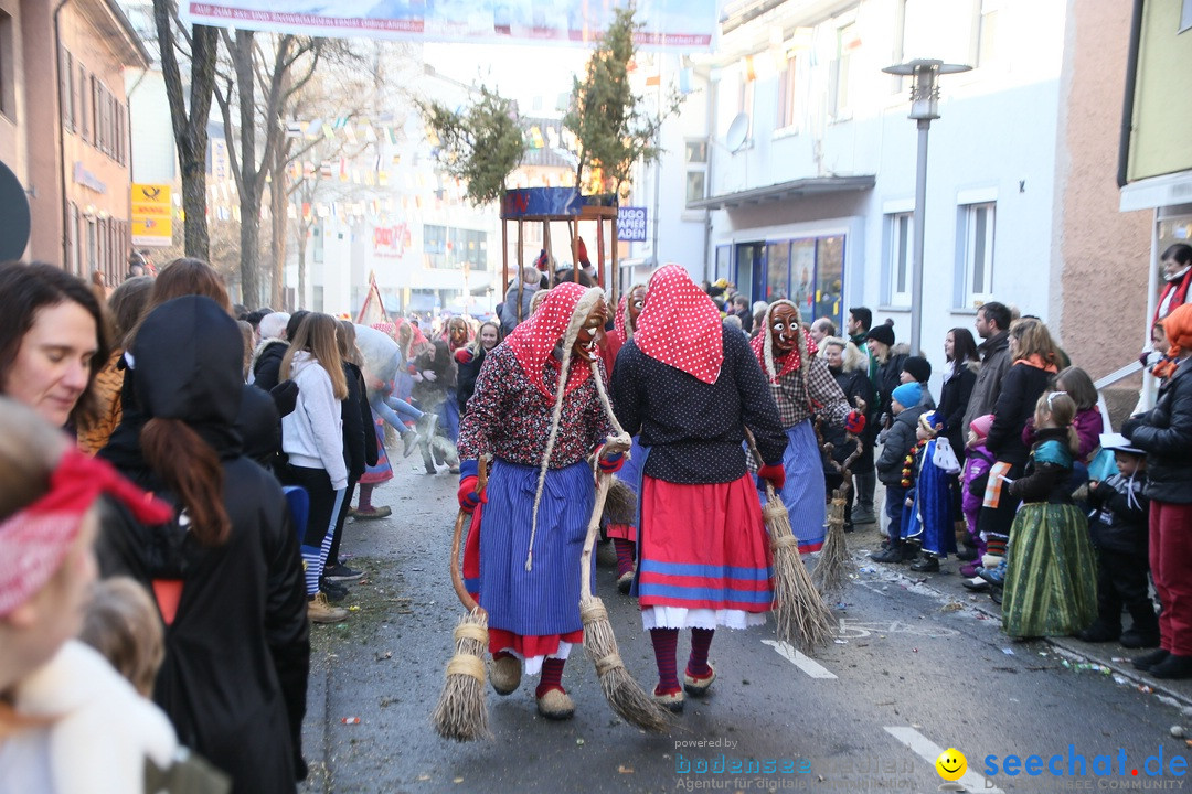 Landschaftstreffen der Fasnachtslandschaft: Markdorf am Bodensee, 29.01.201