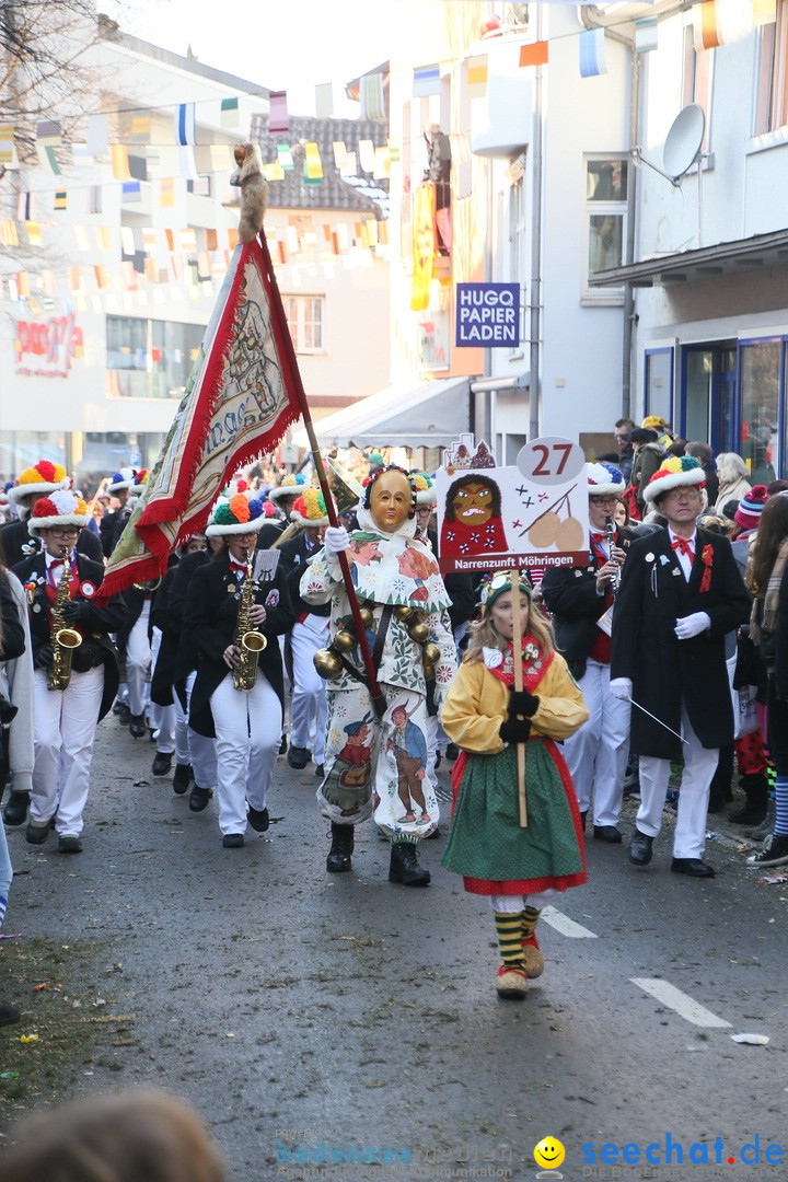 Landschaftstreffen der Fasnachtslandschaft: Markdorf am Bodensee, 29.01.201