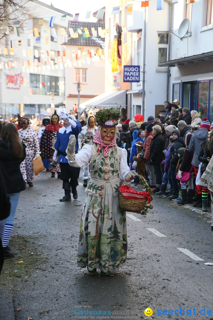 Landschaftstreffen der Fasnachtslandschaft: Markdorf am Bodensee, 29.01.201