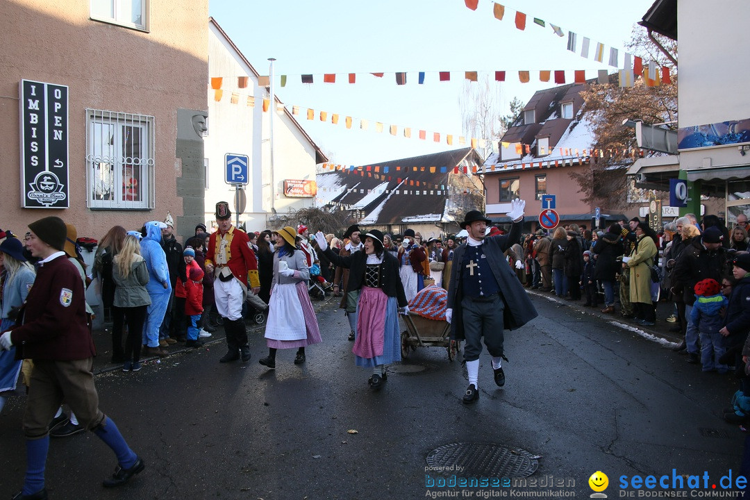 Landschaftstreffen der Fasnachtslandschaft: Markdorf am Bodensee, 29.01.201