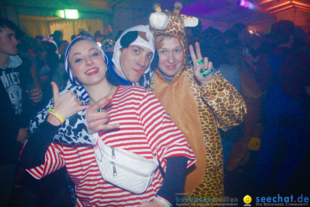 Maskenball - Eschenbach - Schweiz, 11.02.2017