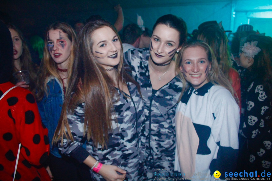 Maskenball - Eschenbach - Schweiz, 11.02.2017