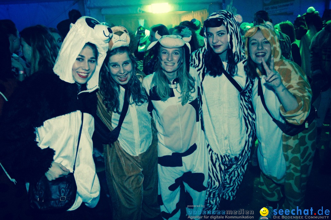 Maskenball - Eschenbach - Schweiz, 11.02.2017