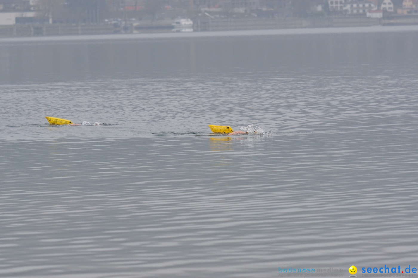 Lake Constance Eisman by Aqua Sphere: Ludwigshafen am Bodensee, 11.02.2017