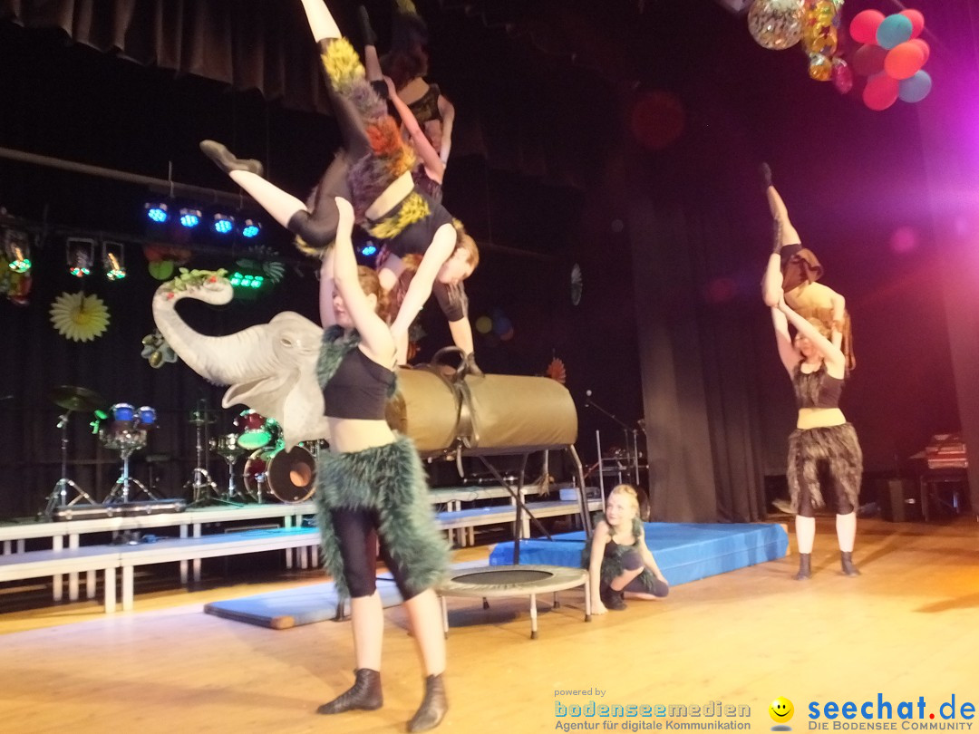 Bandscheibenball 2017: Bad Buchau am Bodensee, 17.02.2017