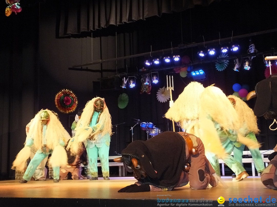 Bandscheibenball 2017: Bad Buchau am Bodensee, 17.02.2017