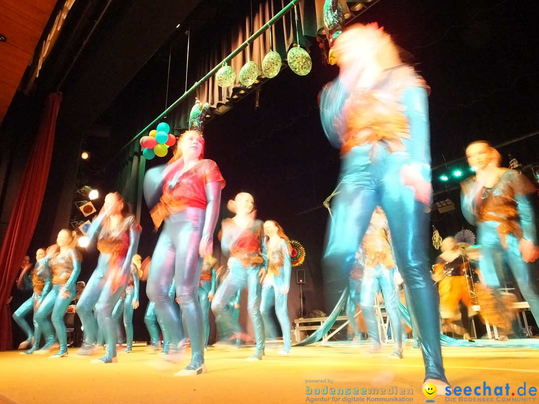 Bandscheibenball 2017: Bad Buchau am Bodensee, 17.02.2017