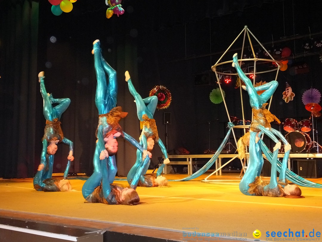Bandscheibenball 2017: Bad Buchau am Bodensee, 17.02.2017
