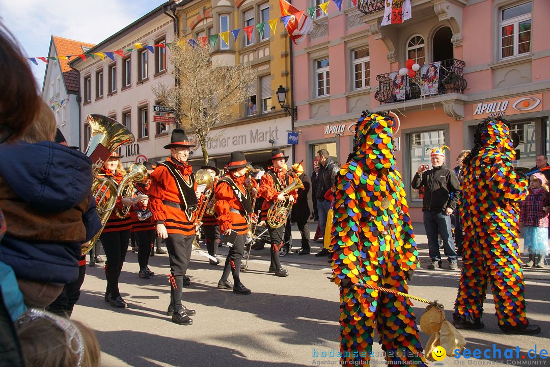 Narrenbaumstellen: Stockach am Bodensee, 23.02.2017