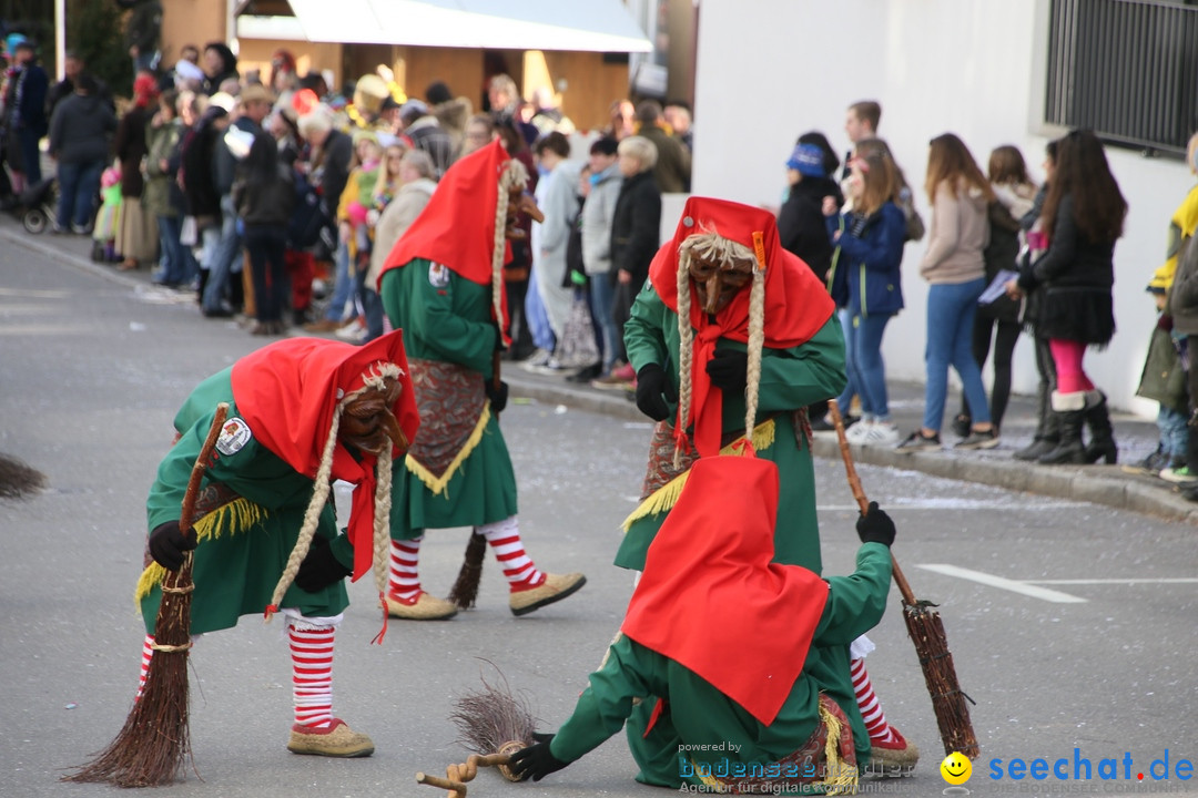 Narrenumzug: Friedrichshafen am Bodensee, 25.02.2017