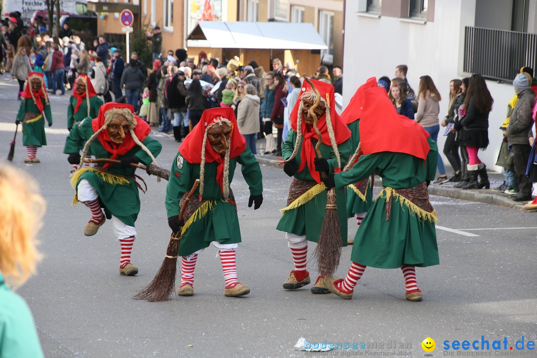 Narrenumzug: Friedrichshafen am Bodensee, 25.02.2017