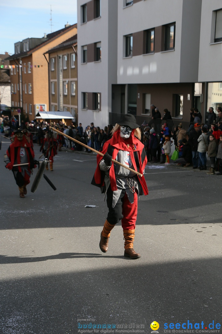 Narrenumzug: Friedrichshafen am Bodensee, 25.02.2017