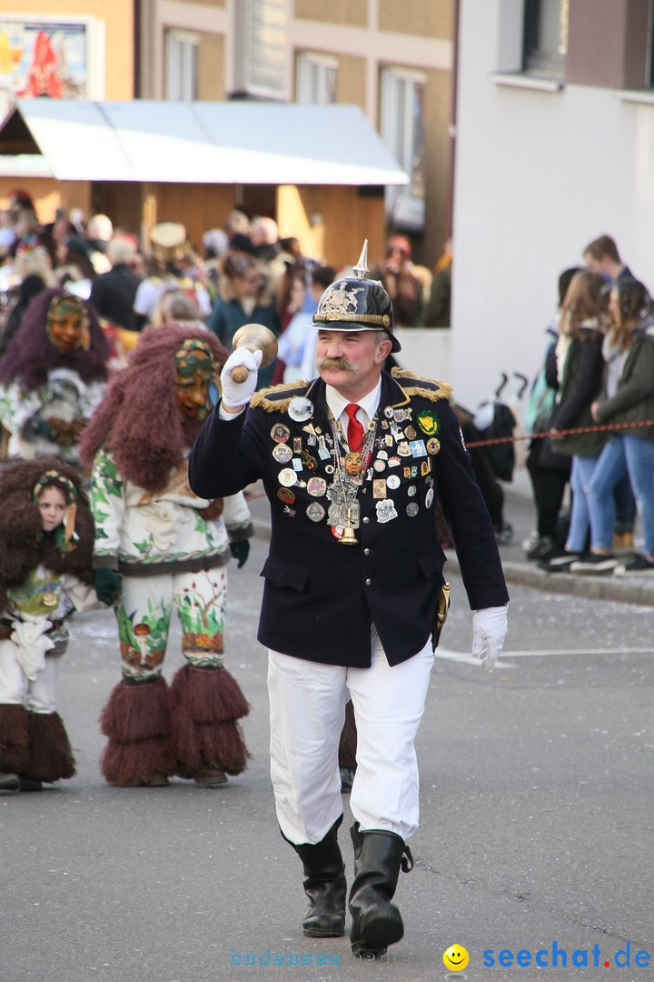 Narrenumzug: Friedrichshafen am Bodensee, 25.02.2017