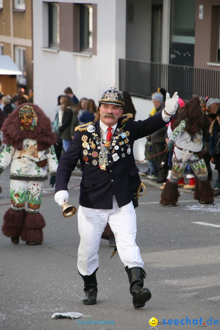 Narrenumzug: Friedrichshafen am Bodensee, 25.02.2017