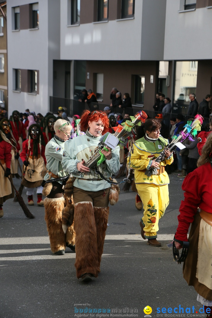 Narrenumzug: Friedrichshafen am Bodensee, 25.02.2017